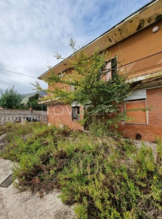 immagine annuncio 10 di 14