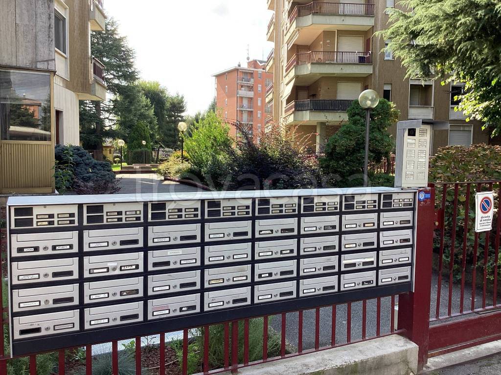 immagine annuncio 14 di 15