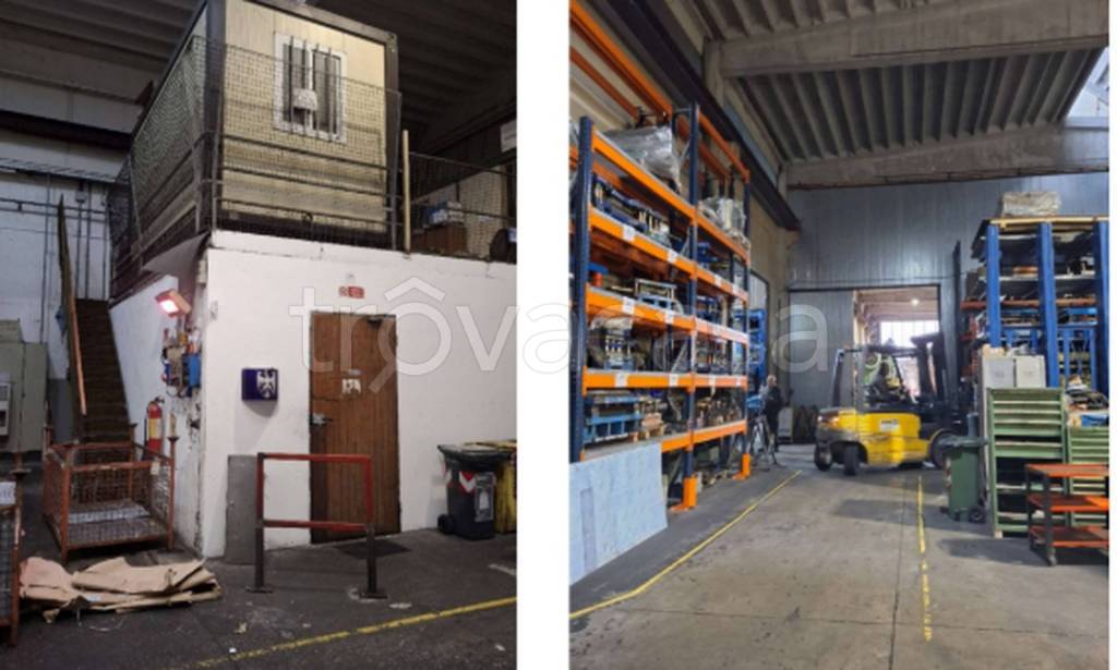 immagine annuncio 6 di 13