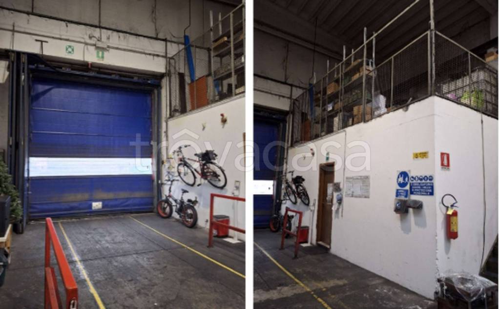 immagine annuncio 12 di 13