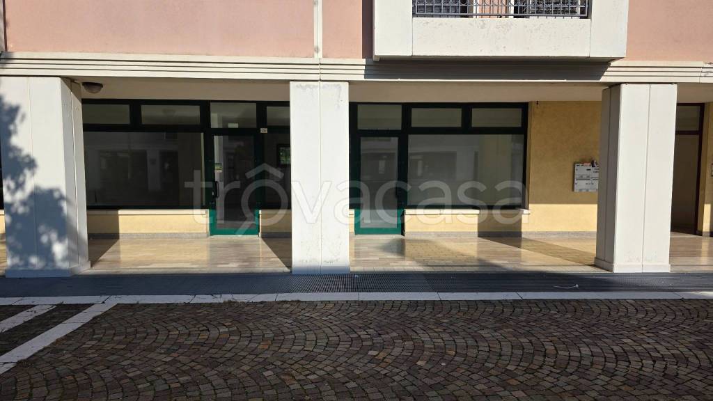 immagine annuncio 6 di 12