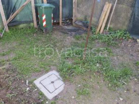 immagine annuncio 3 di 14
