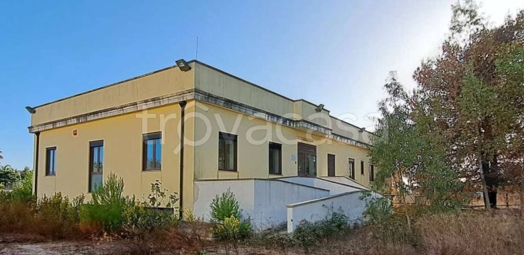 immagine annuncio 6 di 9