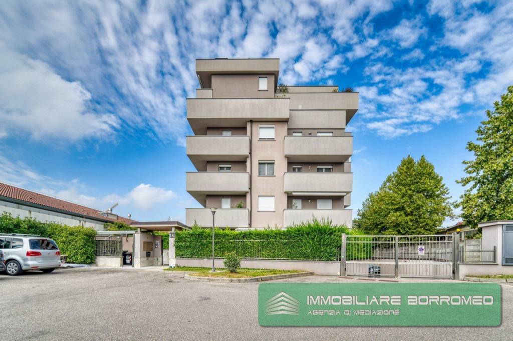 immagine annuncio 1 di 15