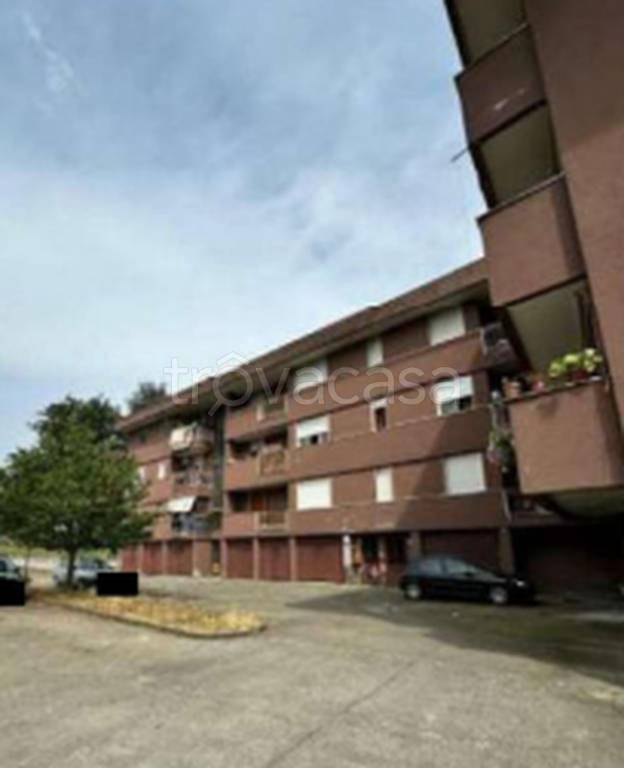 immagine annuncio 6 di 12