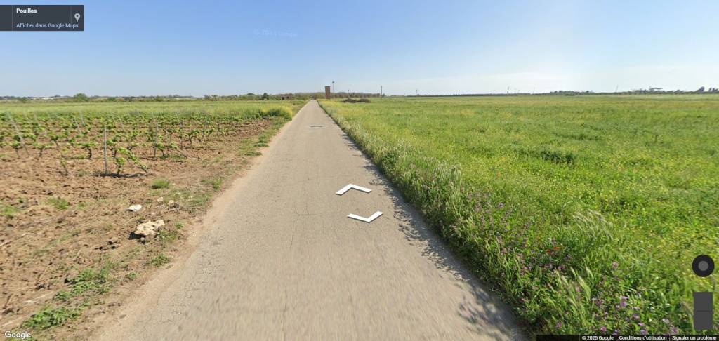 immagine annuncio 5 di 11