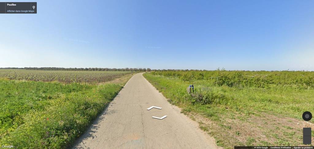 immagine annuncio 7 di 11