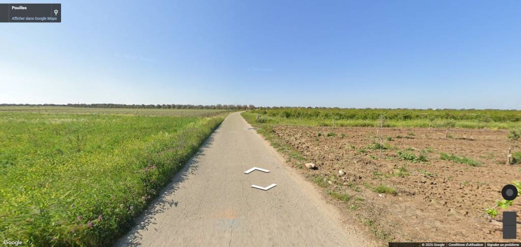 immagine annuncio 8 di 11