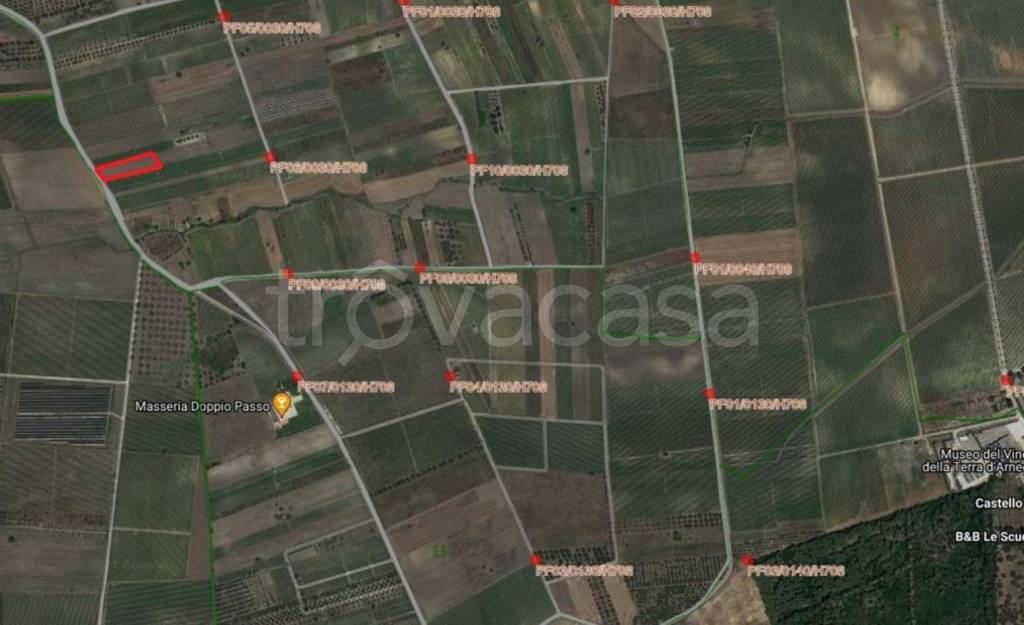 immagine annuncio 10 di 11