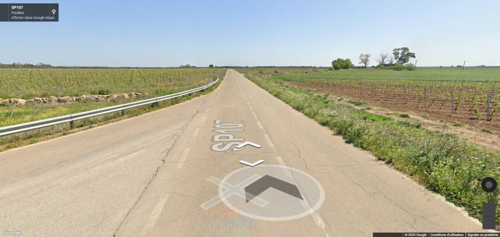 immagine annuncio 3 di 11