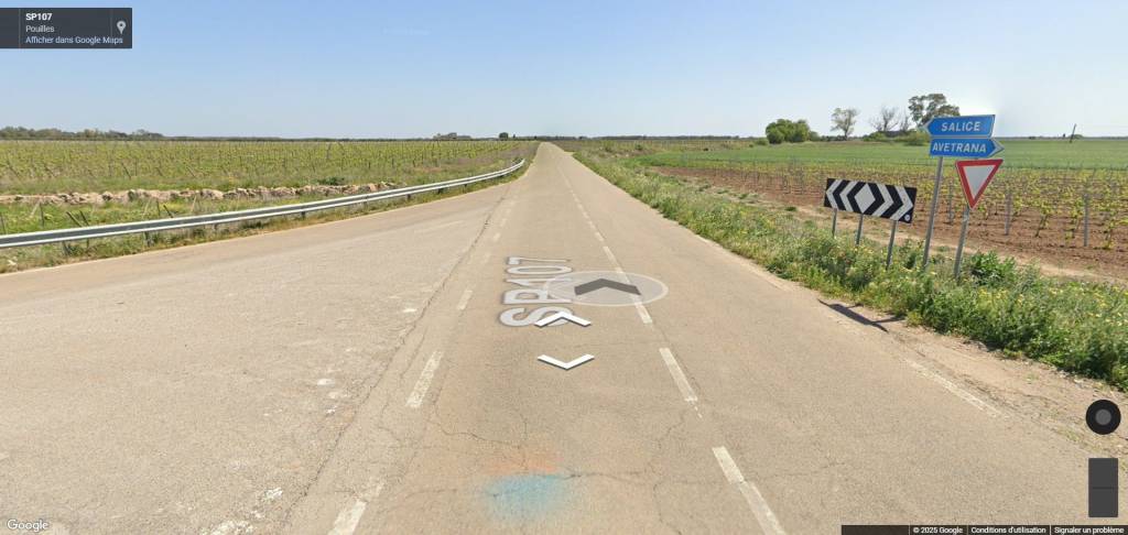 immagine annuncio 4 di 11