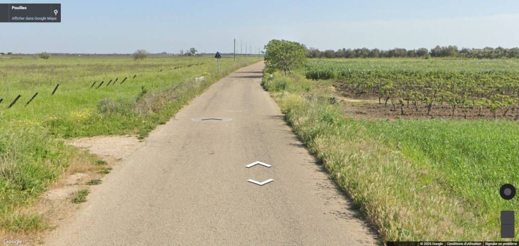 immagine annuncio 6 di 11