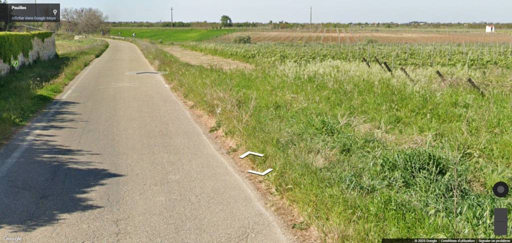 immagine annuncio 8 di 11