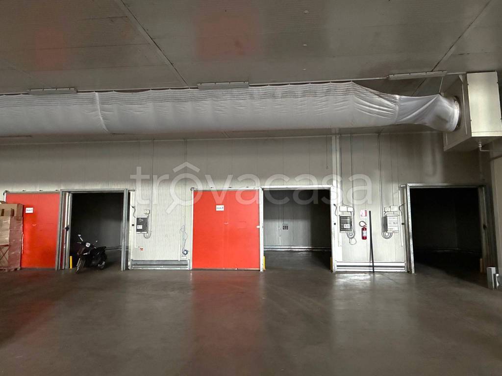 immagine annuncio 3 di 8