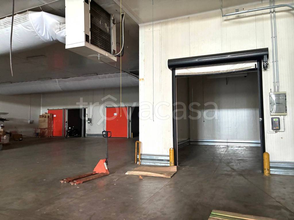 immagine annuncio 4 di 8