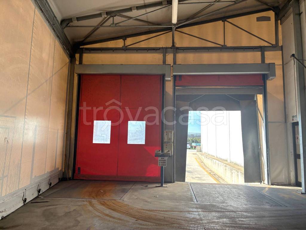 immagine annuncio 5 di 8