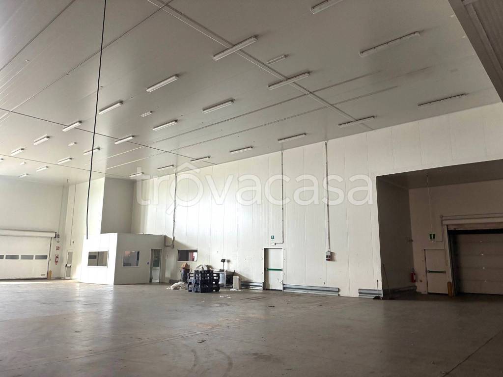 immagine annuncio 6 di 8