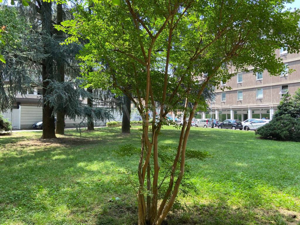 immagine annuncio 11 di 13