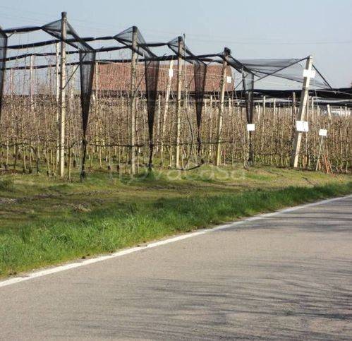 immagine annuncio 5 di 6