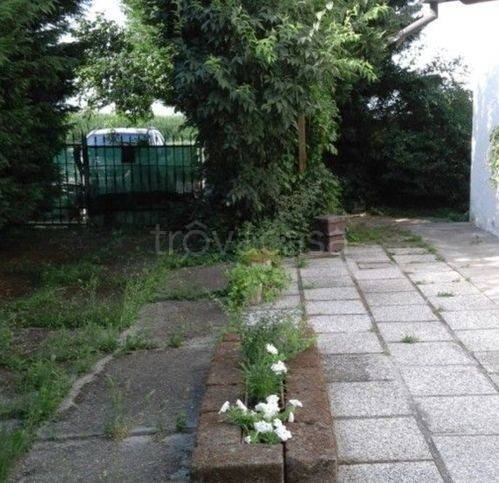 immagine annuncio 3 di 12