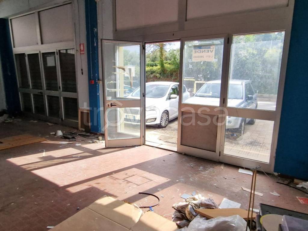 immagine annuncio 6 di 12