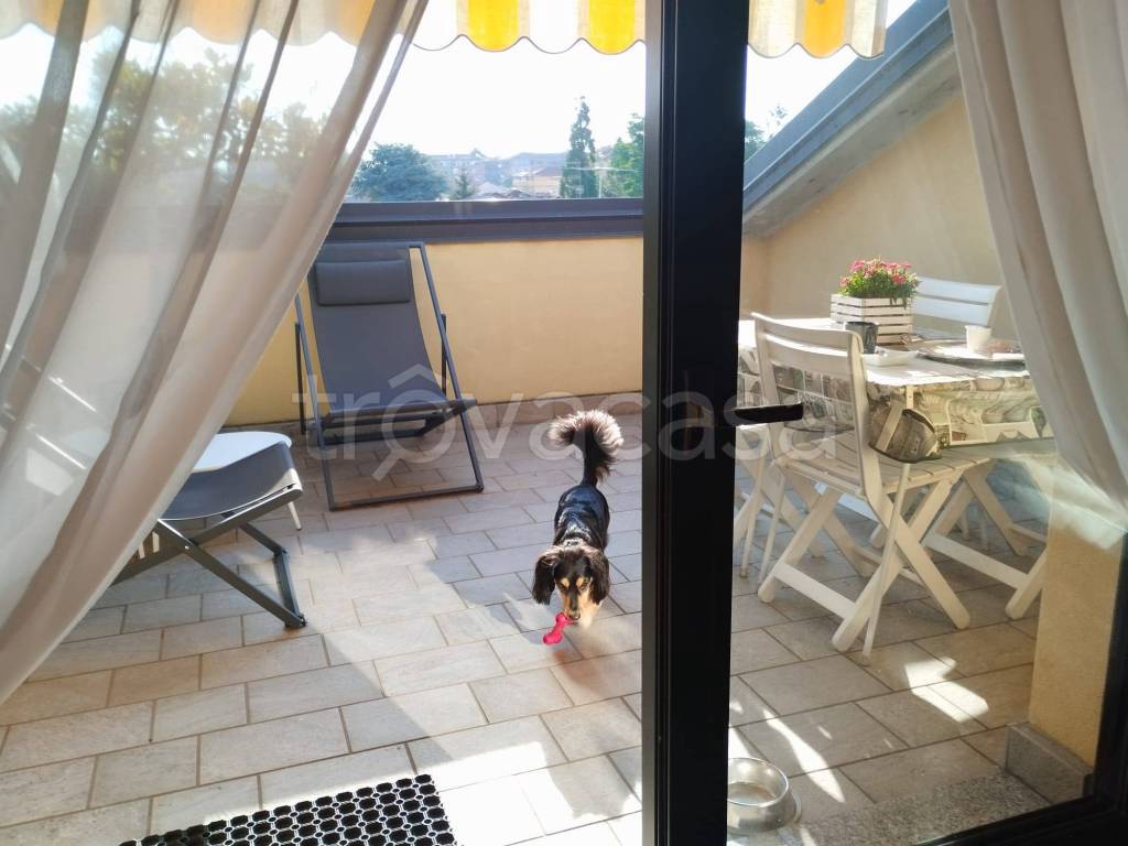 immagine annuncio 9 di 15