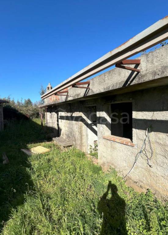 immagine annuncio 4 di 12