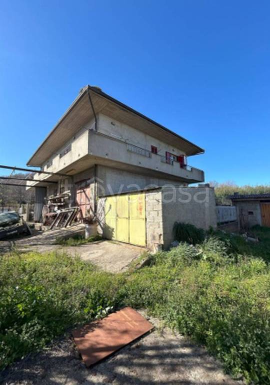 immagine annuncio 5 di 12