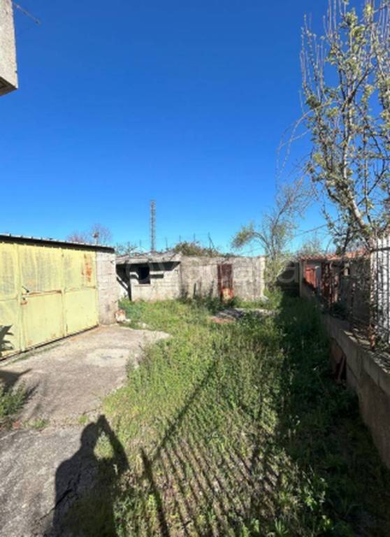 immagine annuncio 7 di 12