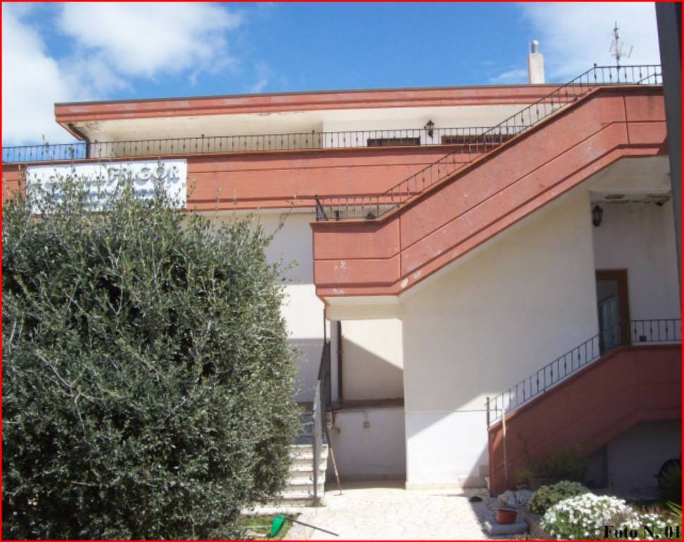 immagine annuncio 1 di 14