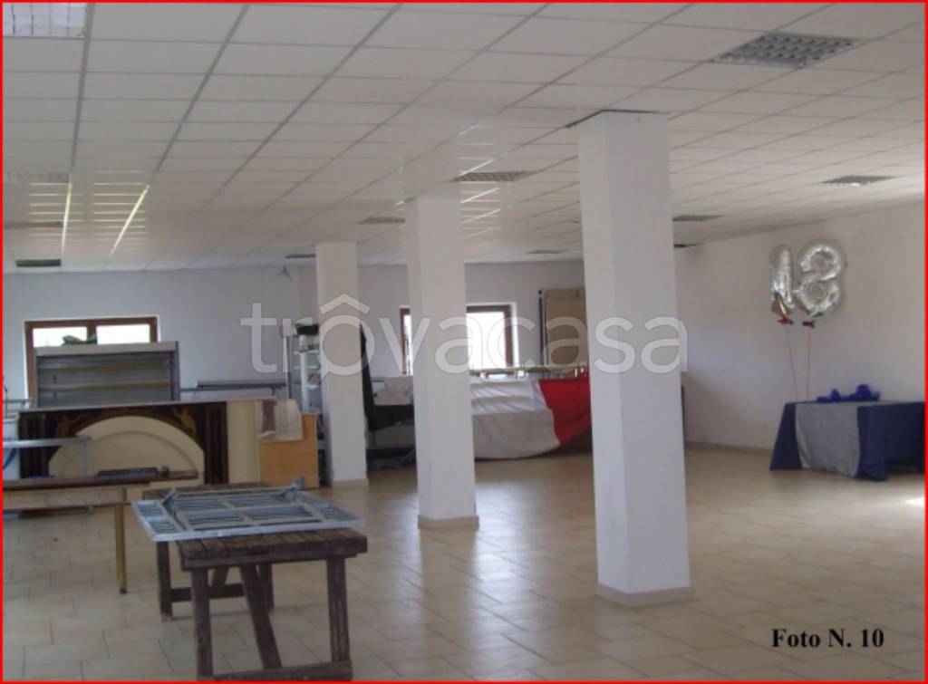 immagine annuncio 9 di 14