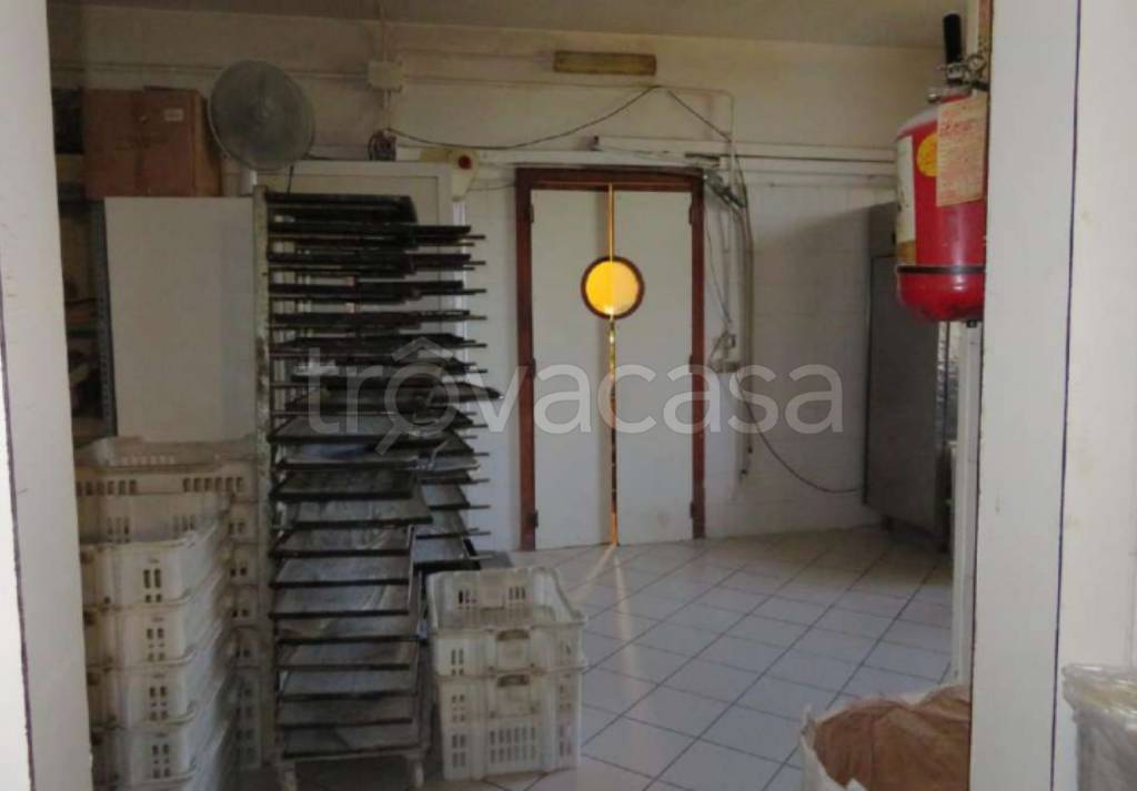 immagine annuncio 9 di 13