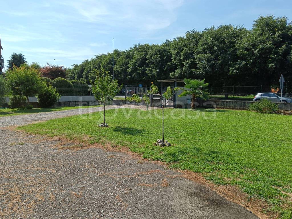 immagine annuncio 6 di 15