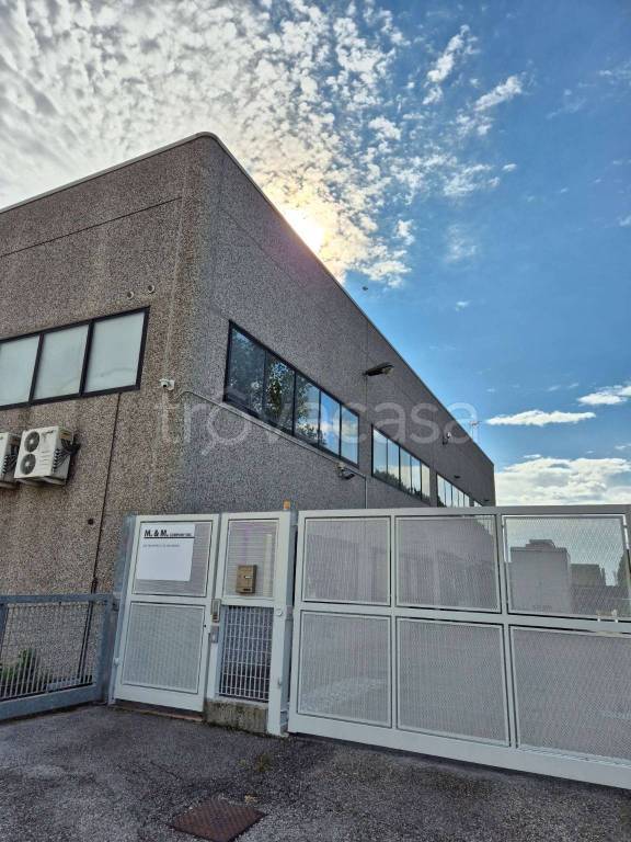 immagine annuncio 2 di 11