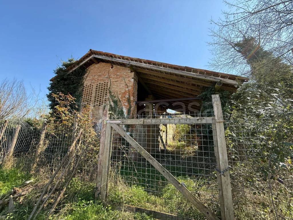 immagine annuncio 4 di 5