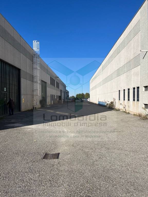 immagine annuncio 10 di 15