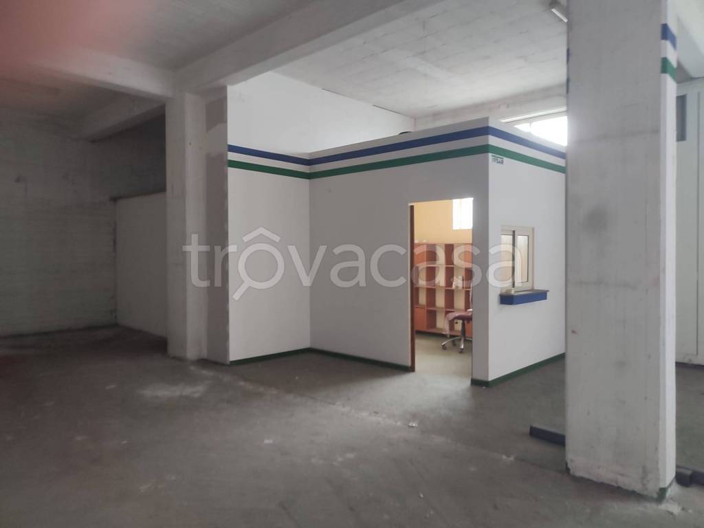 immagine annuncio 11 di 13