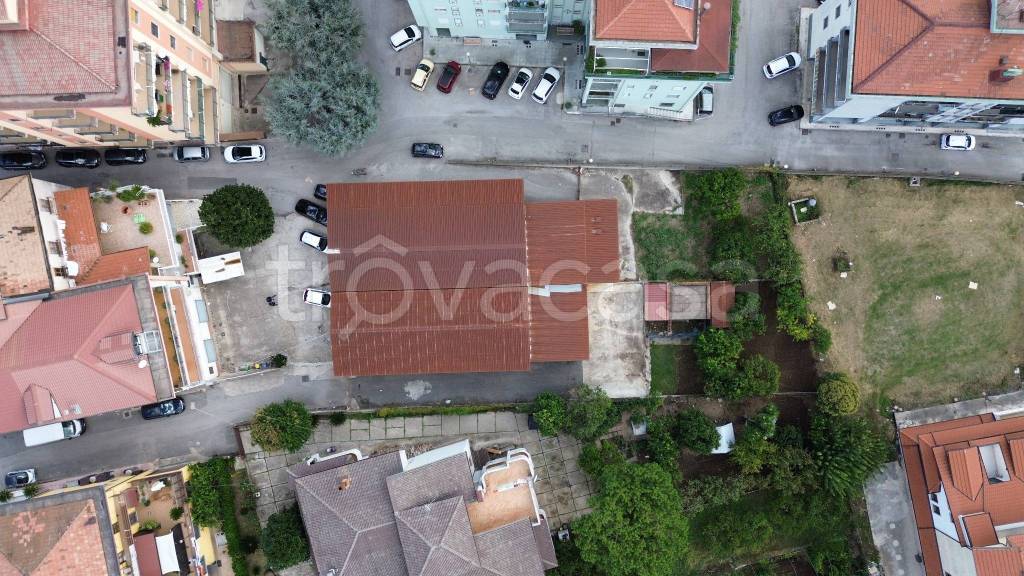 immagine annuncio 9 di 12