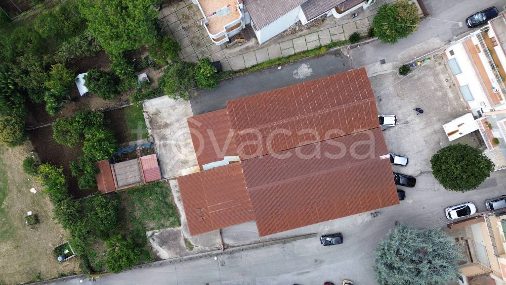 immagine annuncio 10 di 12