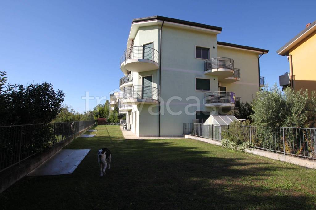 immagine annuncio 2 di 13