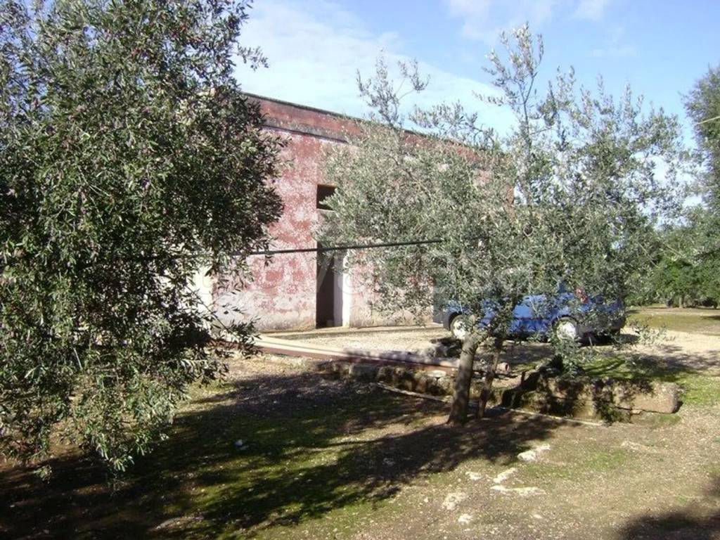 immagine annuncio 3 di 12