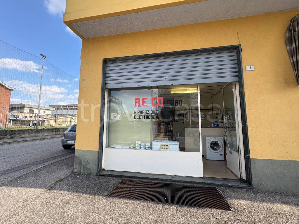 immagine annuncio 1 di 15