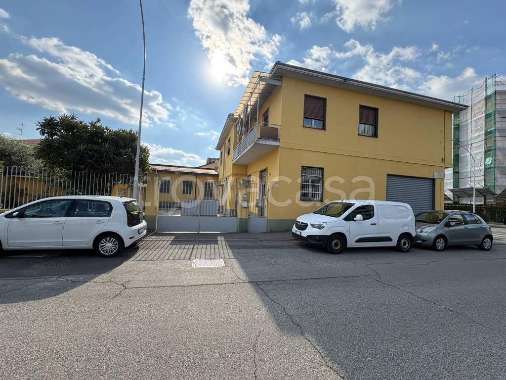 immagine annuncio 3 di 15