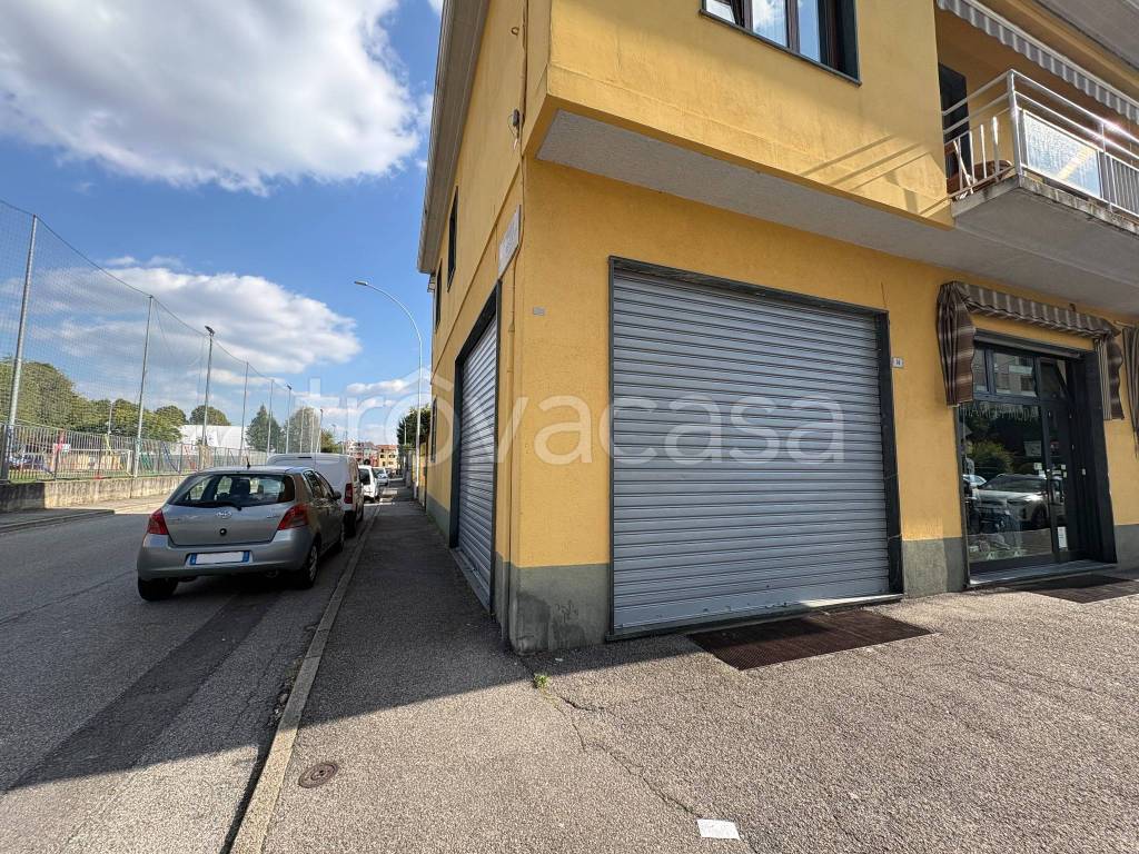 immagine annuncio 9 di 15