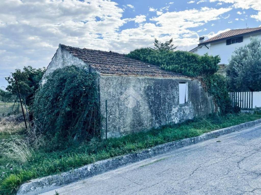 immagine annuncio 1 di 7