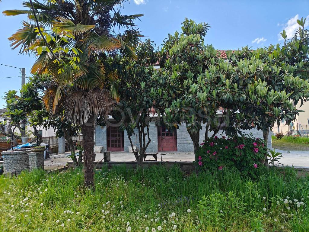 immagine annuncio 2 di 12