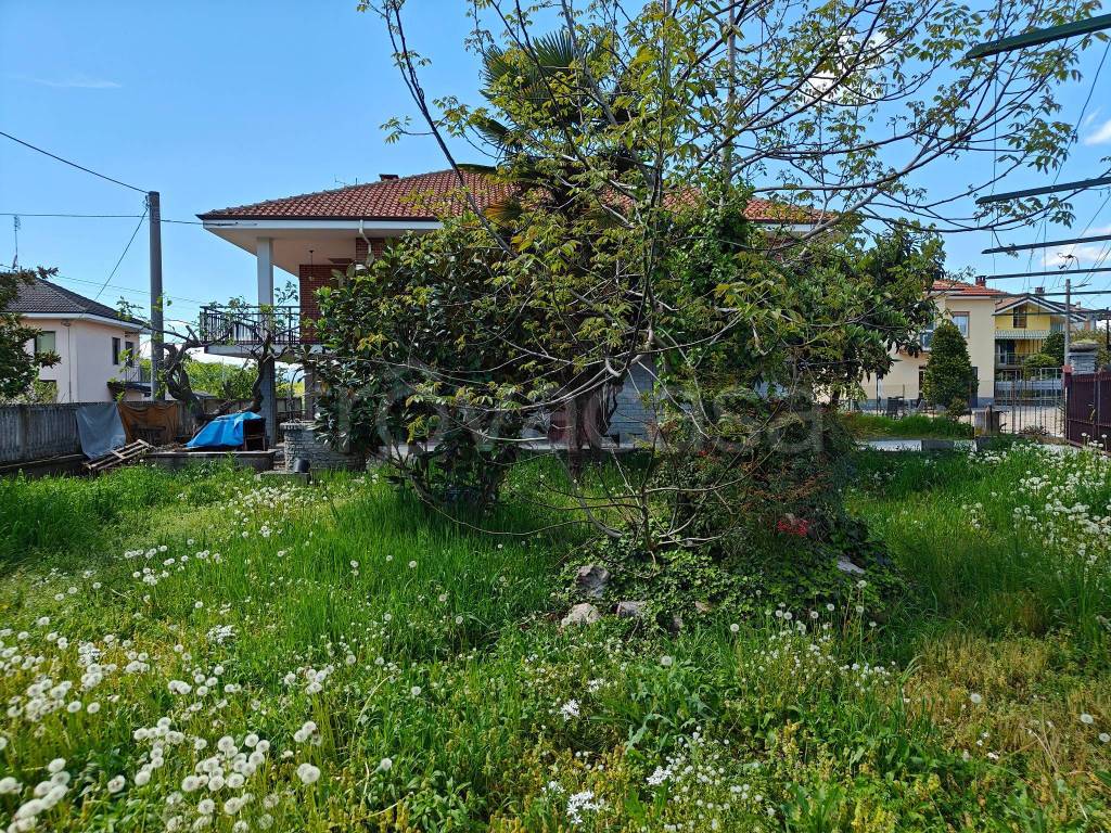 immagine annuncio 6 di 12