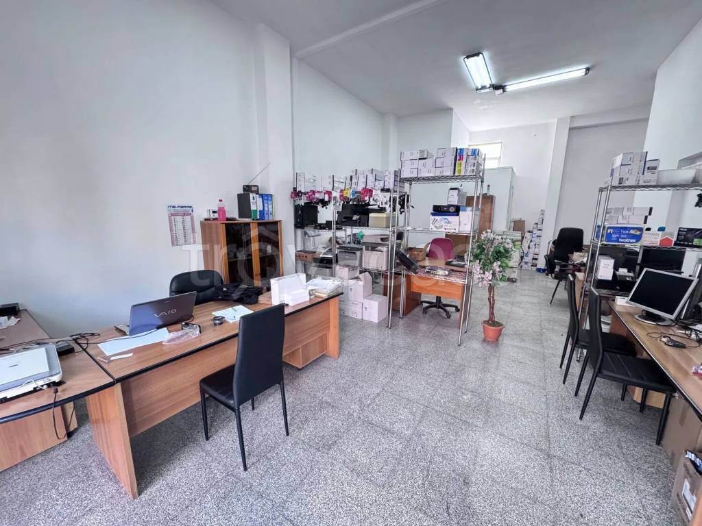 immagine annuncio 2 di 11