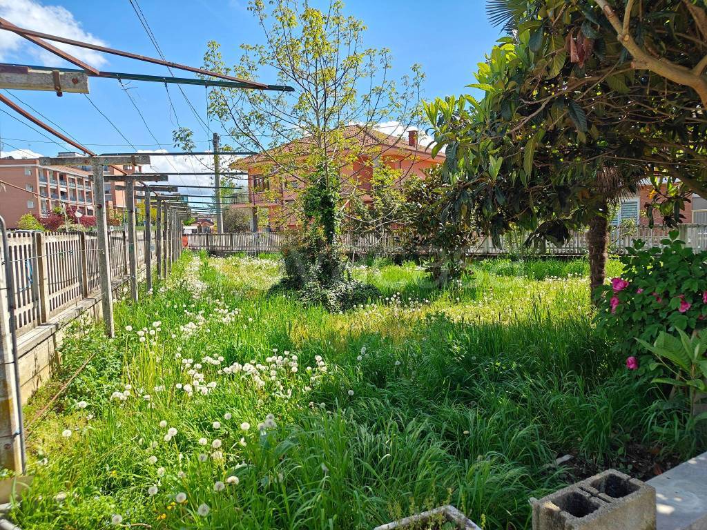 immagine annuncio 9 di 12