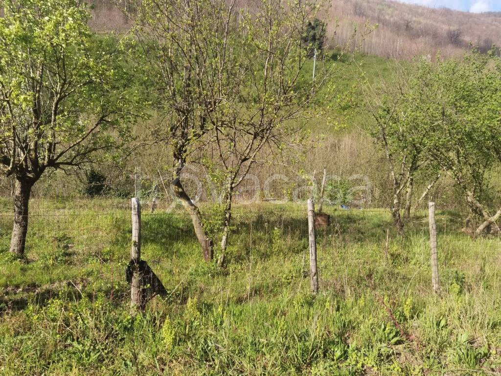 immagine annuncio 4 di 8